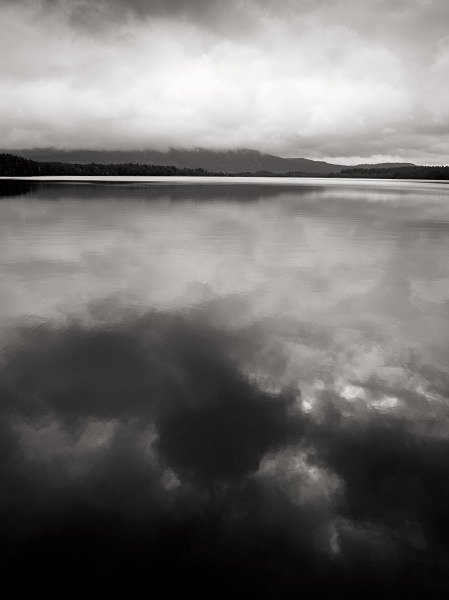 Loch Garten - Landscapes