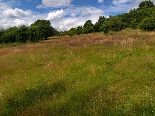 Sally Clark's Meadow - Shire Brook Valley