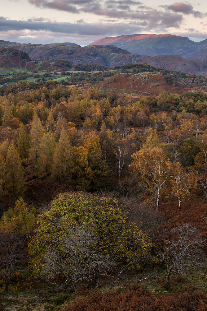 Holme Fell - Gallery 2