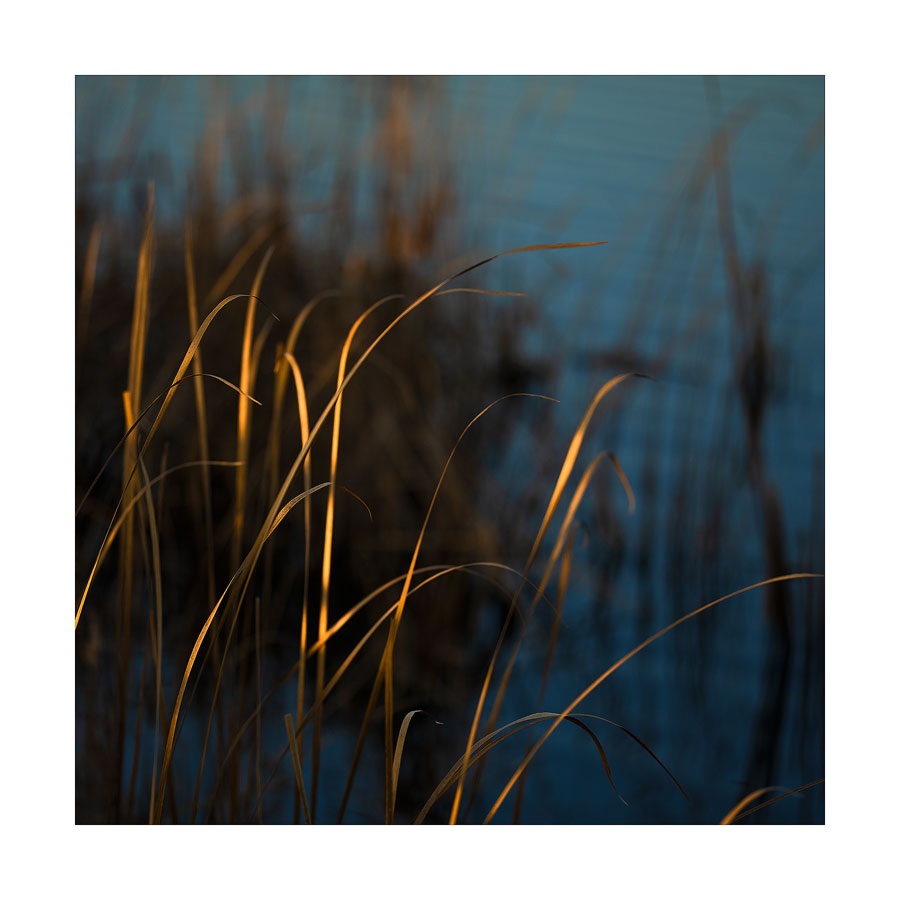  - LIMITED EDITION PRINTS