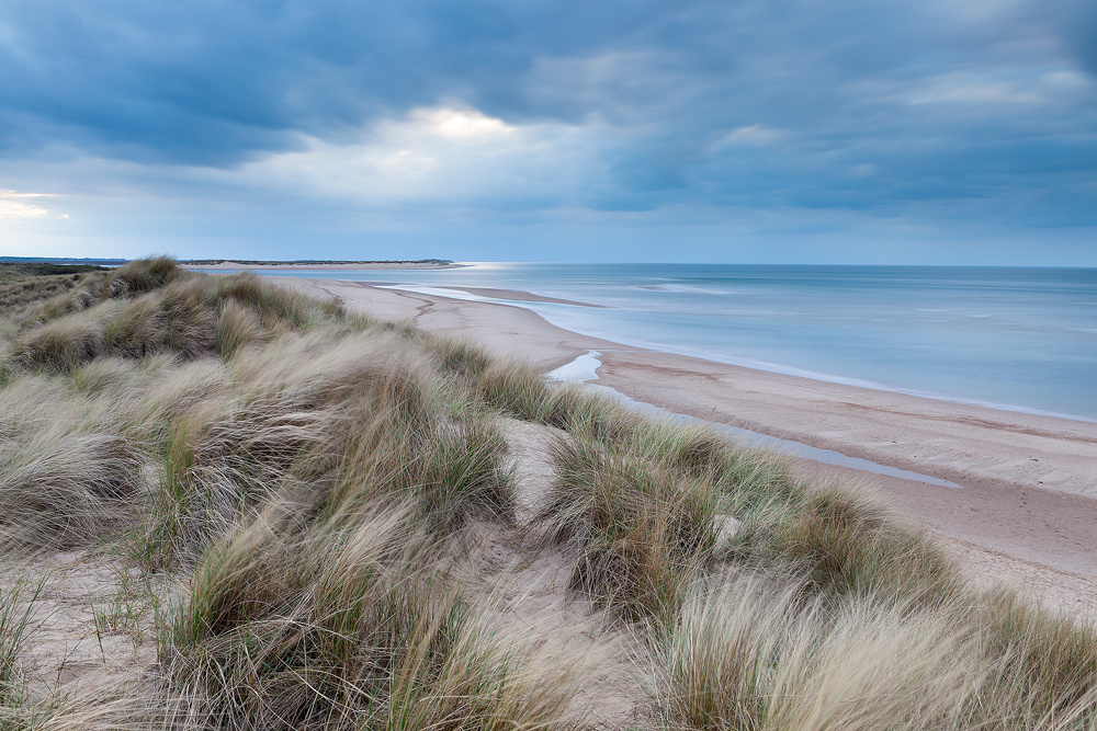 Holkham NNR - Gallery 4