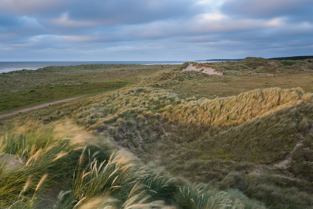 Holkham NNR - Gallery 1