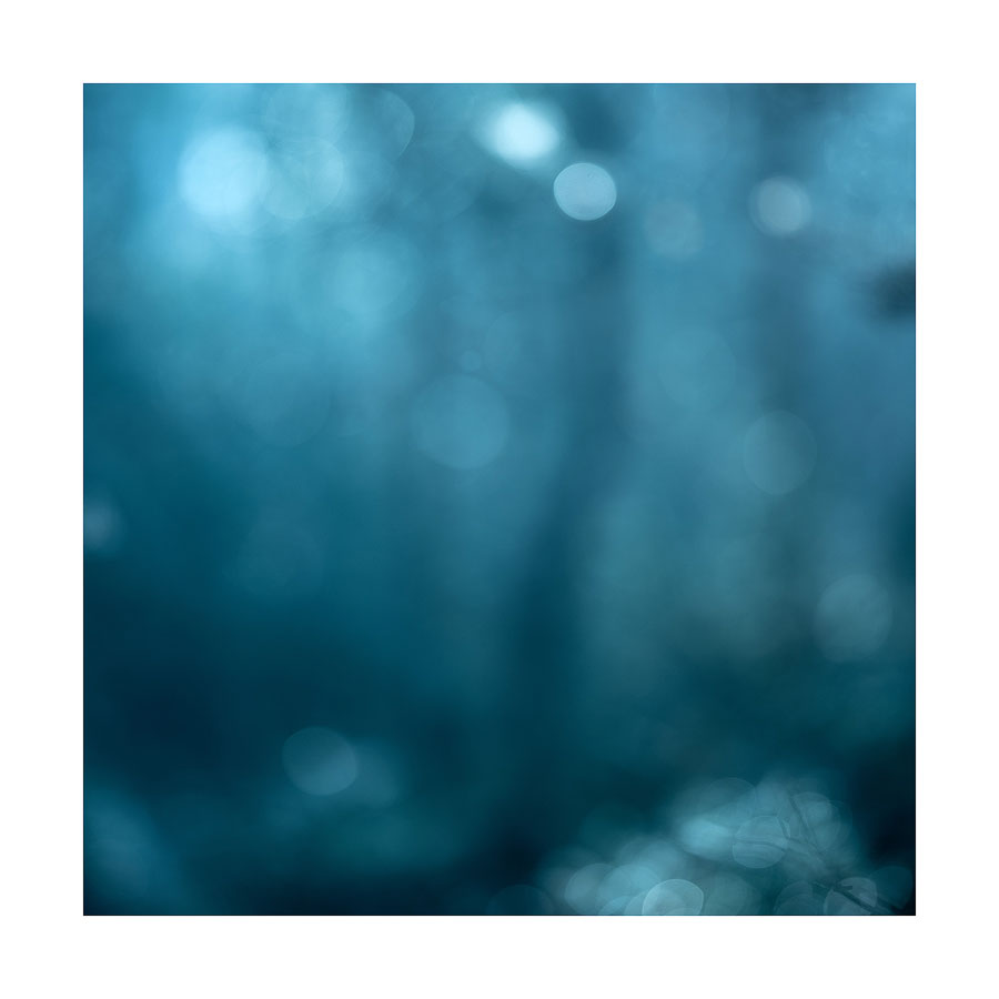  - LIMITED EDITION PRINTS