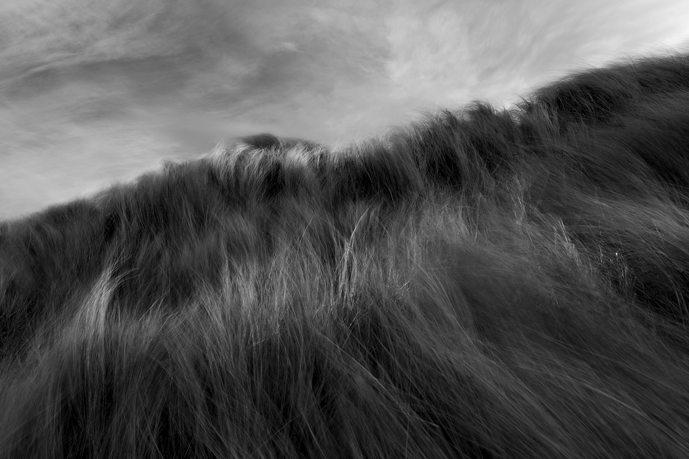 Beadnell Bay - Gallery 5