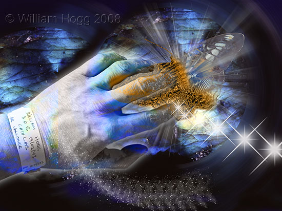 Dreamscape 01 - Dreamscapes