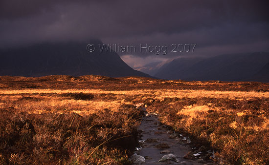 Rannoch Moor 01 - Landscapes