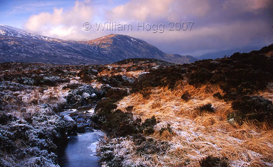 Rannoch Moor 02 - Landscapes