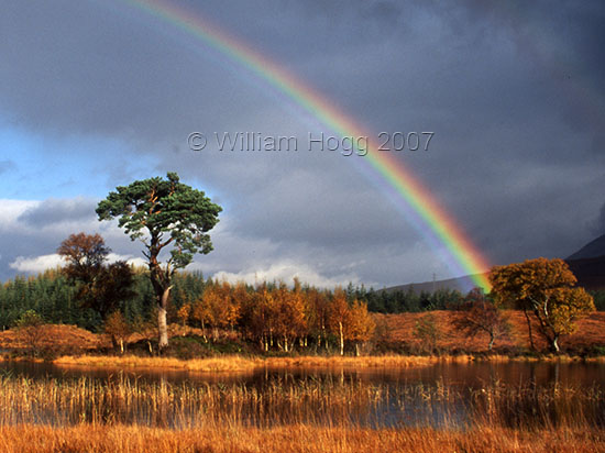 Loch Tulla 02 - Lochs