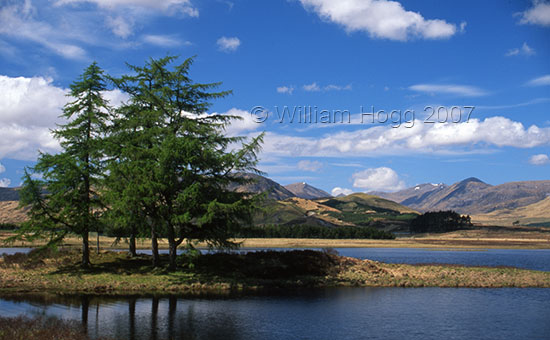 Loch Tulla 01 - Lochs