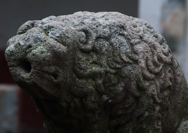 Santiago Apóstol, cloister fountain lion, closeup - Ocuituco, Morelos