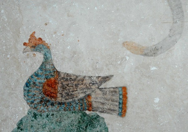 Santa Clara de Asís, lower cloister walk mural, oscellated turkey - Dzidzantún, Yucatán