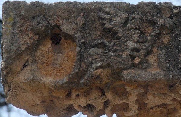 Atrial cross, front, left arm - Atrial cross