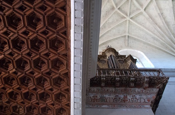 Sotocoro, tribune & organ - Organ