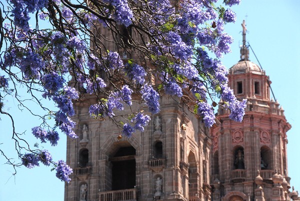 La Transfiguración de Cristo, bell-towers (closeup with jacaranda) - La Transfiguración de Cristo