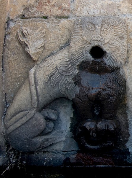 Cistern, lion water spout - Cistern (Caja de agua)