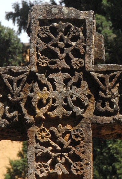 Atrial cross, back crossing - Atrial cross