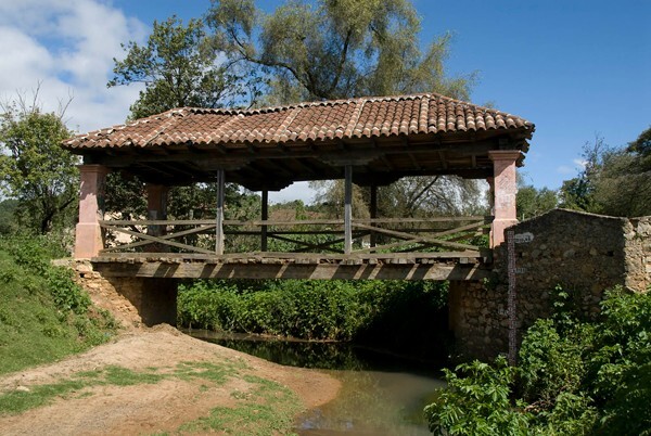 Cuxtitali Bridge - San Cristóbal de las Casas