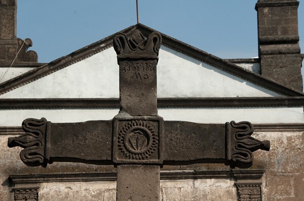 San Lorenzo, atrial cross, back crossing - Totolinga, México
