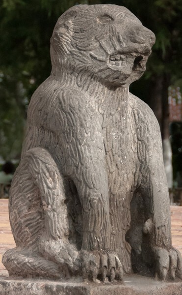 El Rollo, lion - El Rollo