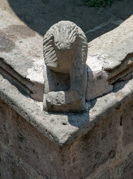 San Agustín, cloister fountain lion - San Agustín
