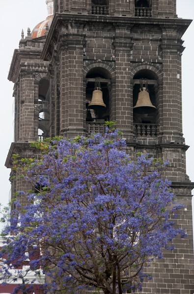 Bell-towers - Catedral de la Inmaculada Concepción