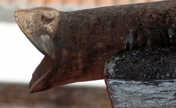Roof gargoyle, water drain - Santo Domingo