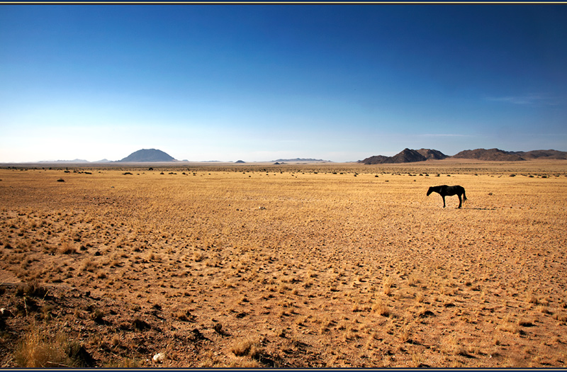 To Die Alone - Beyond the UK - Namibia