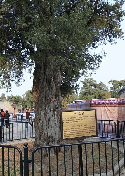  - Beijing (incl. Temple of Heaven)