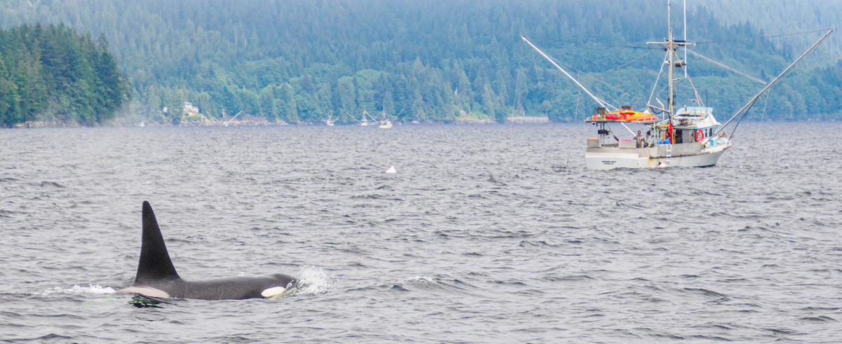 Ketchikan -89 - Alaska 3