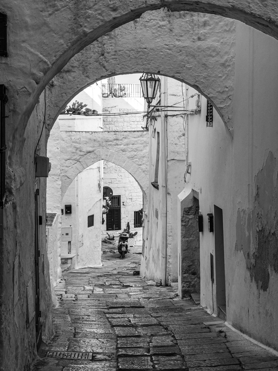 Puglia-740 - Puglia: Landscape with Trulli