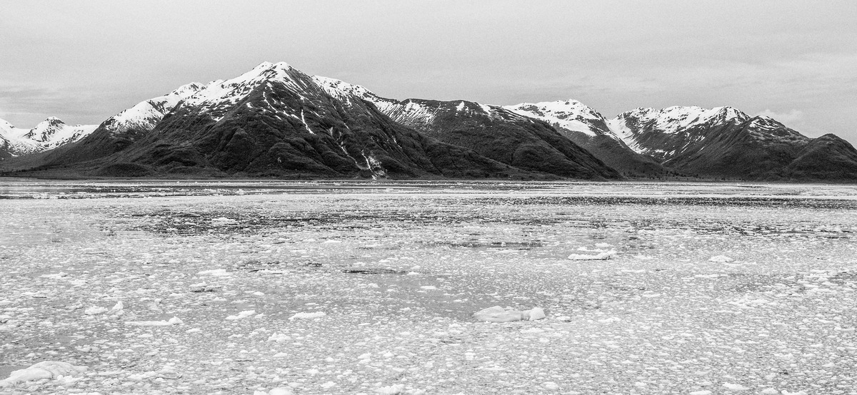 At Sea and Hubbard Glacier-29 - Alaska 1
