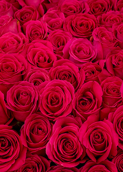 Floral-9 - Floral 1