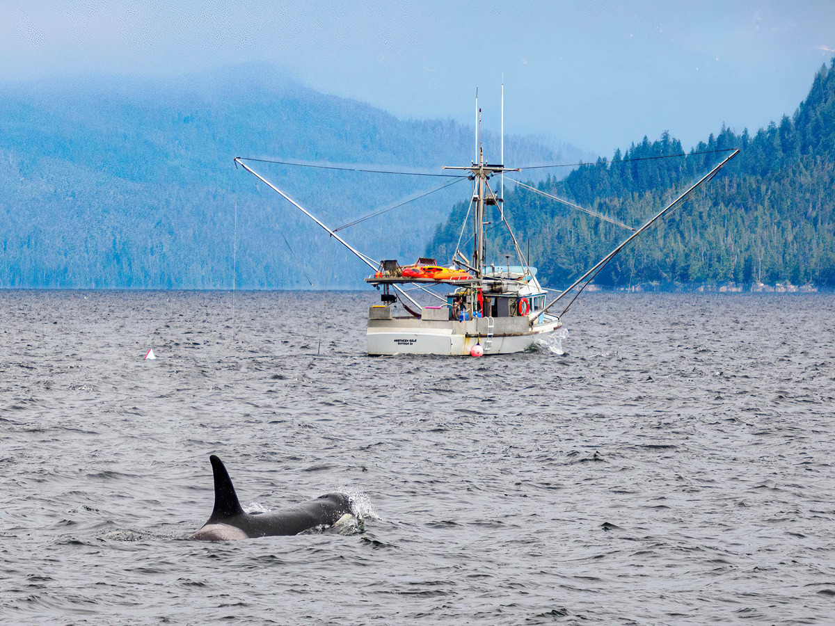 Ketchikan -59 - Alaska 3