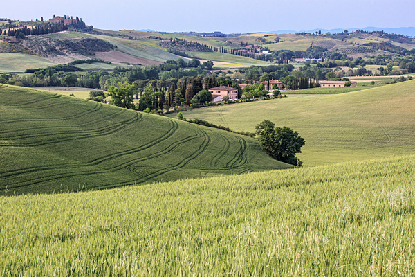 IMG_8563-Enhanced - Tuscany