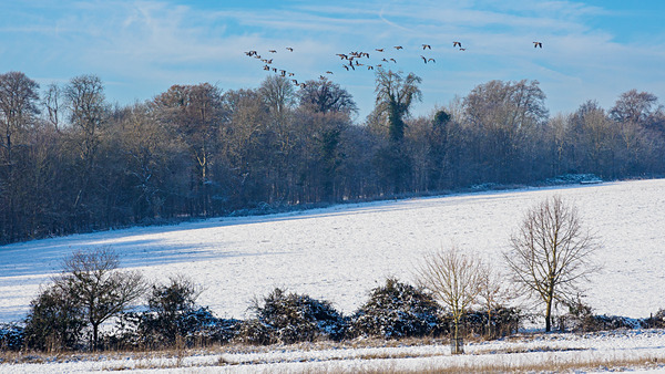 Wimpole Hall 16Dec22-38 - Wimpole Hall
