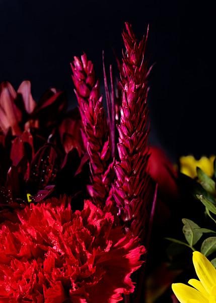 Floral2-4 - Floral 2 (with a few experiments)