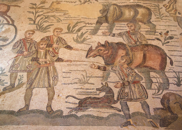 5D Piazza Armerina 91 - Sicily incl. Etna