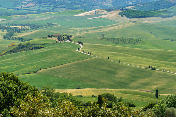 DSC03365 - Tuscany
