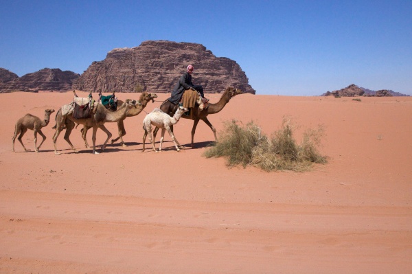 Wadi Rum 51 - Jordan - Wadi Rum