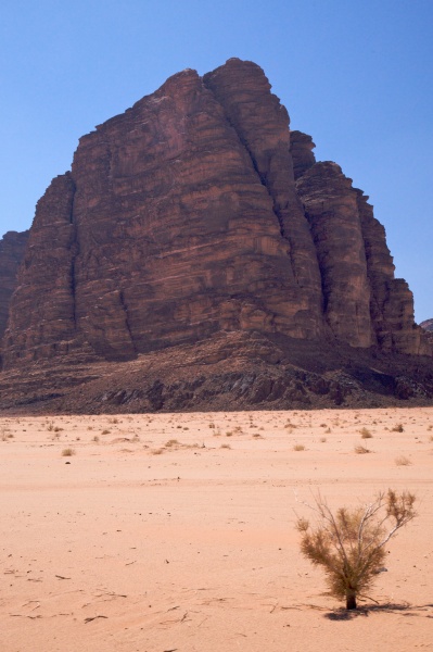 Wadi Rum 77 - Jordan - Wadi Rum