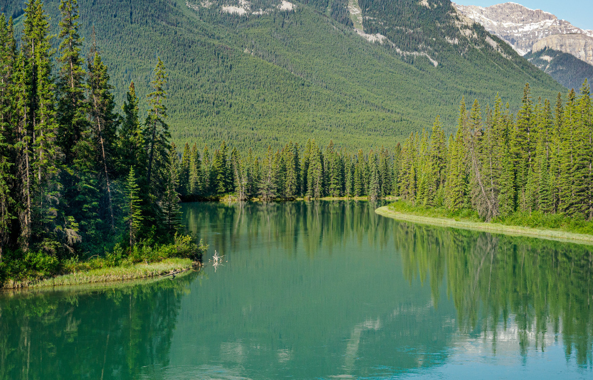 Canada Alaska Card 4-6 - Rocky Mountaineer