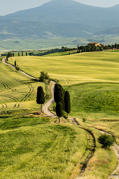 DSC03670 - Tuscany