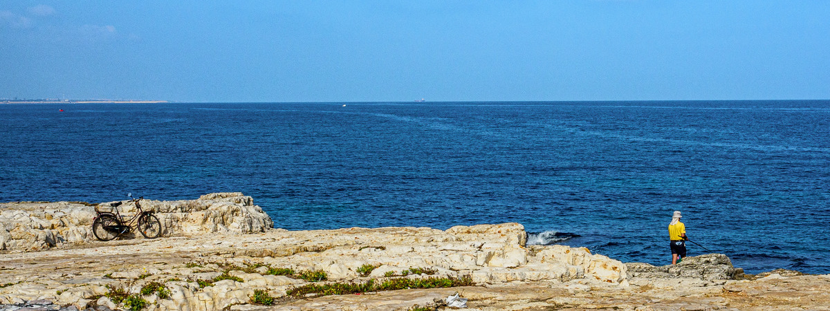 Puglia-36 - Puglia: Landscape with Trulli