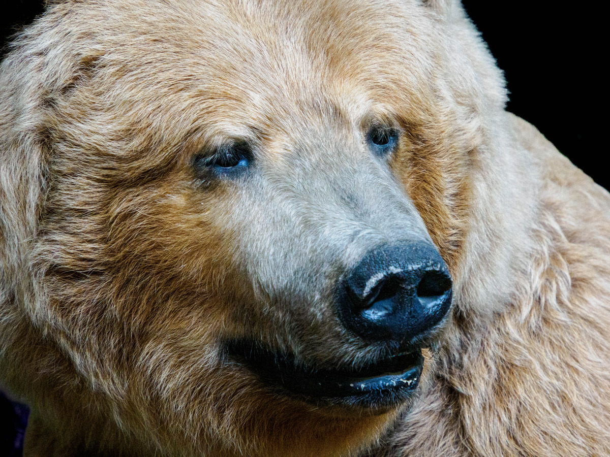 Haines-41 - Alaska 1