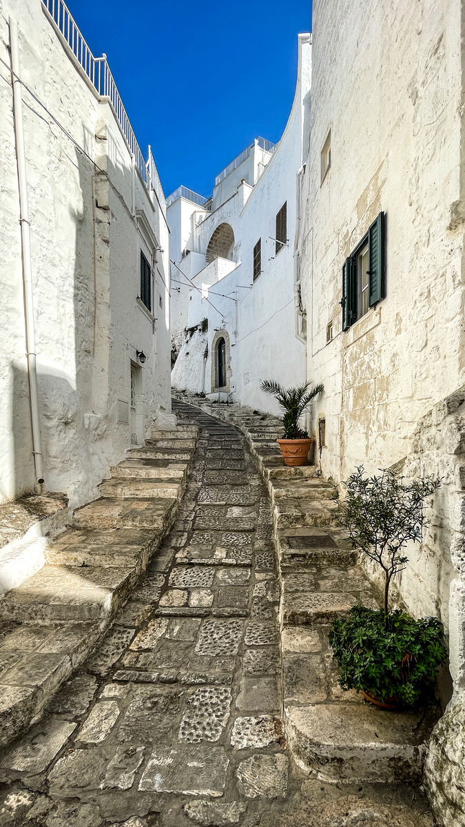 Puglia-774 - Puglia: Landscape with Trulli