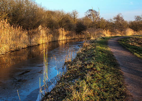  - Wicken Fen