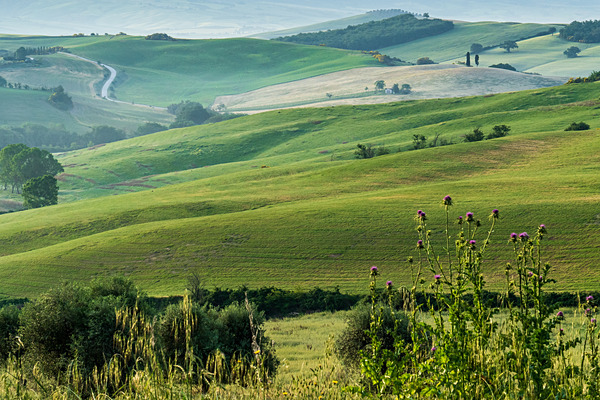 DSC03399 - Tuscany