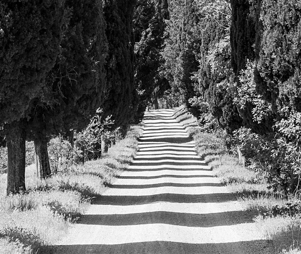 DSC03965 - Tuscany