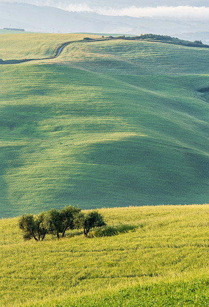 DSC03743 - Tuscany