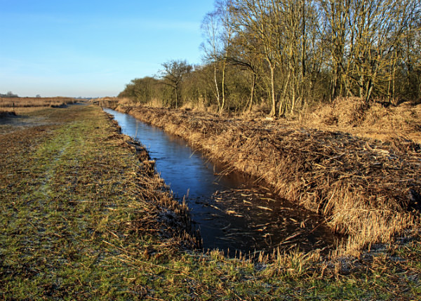  - Wicken Fen